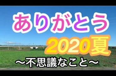 2020夏よ、またね！！？🌼👒🌸とりあえずお付き合いください🥺🌼