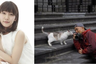 吉岡里帆ナレーション入り『劇場版 岩合光昭の世界ネコ歩き　コトラ家族と世界のいいコたち』予告編