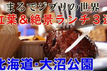 【北海道・紅葉の大沼ランチ】まるでジブリの世界！優しい時が流れる素敵な空間でランチ【女ひとり旅】