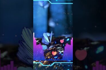 【速報】朝ドラ「ちむどんどん」早苗ちゃん（高田夏帆）が来週再登場するらしいです。次週予告から。 #shorts