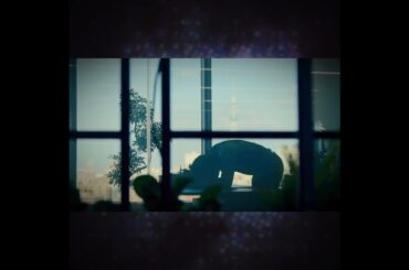 野村周平・岡本玲・竜星涼🏙️ドラマ『スタンドUPスタート』♪ベテルギウス