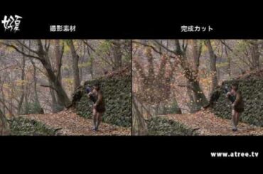 VFX making『好夏zerφ3 パンプキンレクイエム』 (3dsMAX+Shake+AfterEffects)