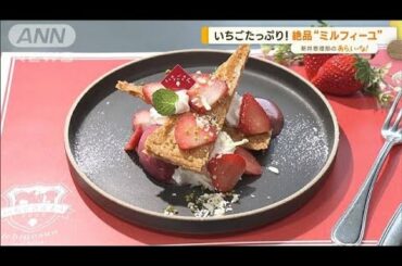 “旬のイチゴ”を巡る！表参道でぶらりお散歩道…絶品“ミルフィーユ”【あらいーな】(2023年2月3日)