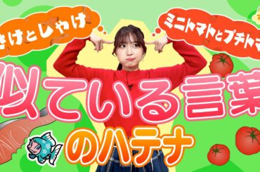 似ている言葉のハテナ～ミニトマトとプチトマトの違いは？～／す・またん！