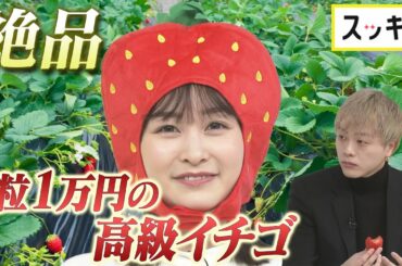 ＜もっとスッキリ＞イシケン 1粒1万円の高級イチゴ試食【切り抜き名場面】