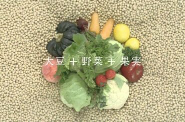 高島彩 CM 野菜生活 お気に入りの椅子篇②