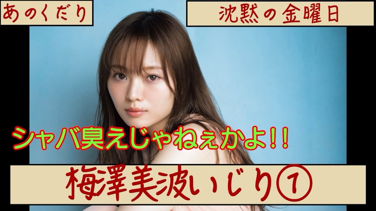 みんな大好き梅澤いじりまとめ①【賢ぶったバカ】 みんな大好き梅澤いじりまとめ①【賢ぶったバカ】