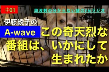 伊藤綾子の「A-wave」01 この奇天烈な番組はいかにしてうまれたか。