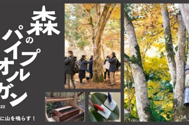 「森のパイプオルガン 実験演奏会」地球オルガンproject