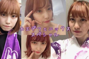 豆柴の大群カエデフェニックスさん大変申し訳ございませんでしたスペシャル‼︎【アイドル偉人伝】