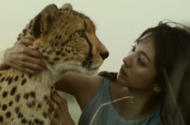 満島ひかり、本物のチーターと共演　カロリーメイト新CM