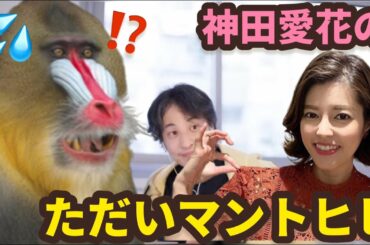 ただいマントヒヒ【神田愛花ｘひろゆき】