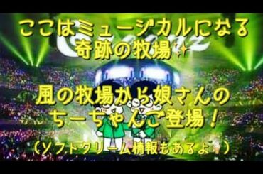 #209  ミュージカルになる奇跡の牧場✨風の牧場の娘さん・ちーちゃんのご登場です！