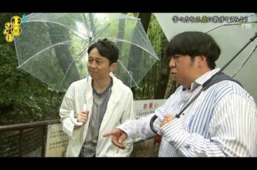 『有吉くんの正直さんぽ』 𒅒 🅷🅾🆃 ☂「等々力を正直に散歩してみよう」🏃‍♀️🏃‍♂️🏃‍♂️