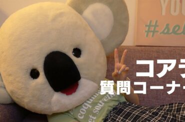コアラが質問を返します