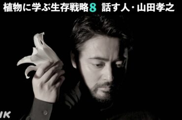 [植物に学ぶ生存戦略 話す人・山田孝之] 3/1(水)新作放送！第8弾 | NHK