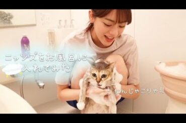 にゃんずをお風呂に入れたらびしょ濡れになってしまいました…。