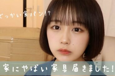 やばい家具買いました！！！！