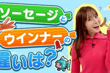 『ソーセージとウインナーの違いは？』／す・またん！