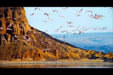 『ネイチャー』TVスポット15秒滝川クリステル編