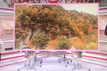 唐橋ユミさんと行く 奥会津バスの旅④