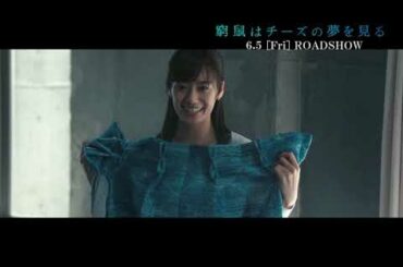 【映画DB】9月11日（金）公開／映画『窮鼠はチーズの夢を見る』90秒予告