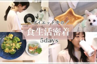 【食事vlog】5日間のダイエット中の食事に密着✨ / ダイエットレシピも公開！