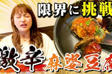 これ、辛くできますか！？〜激辛麻婆豆腐編〜