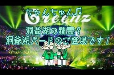 #237  洞爺湖の精霊？？洞爺湖バードのご登場です！