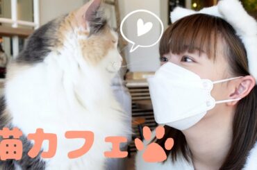 【休日Vlog】はじめての猫カフェで癒されてきました🐾【阿部華也子】