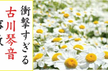 古川琴音の現在！今現在の様子がヤバすぎる・・・