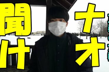 豆柴の大群のナオ・オブ・ナオを救いたい