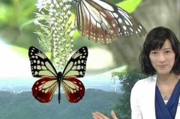 Your　Song　小郷知子