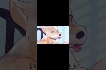 KYOKA［京佳］-HAO Digital release