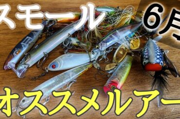 スモールマウスバス6月オススメルアー解説【川スモール】【川バス】【アフター】【初心者】