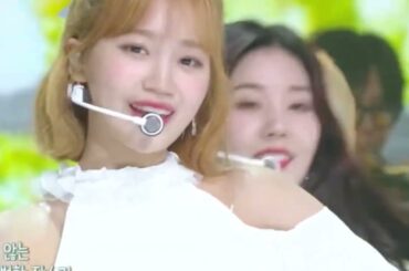 【IZ*ONE/キムチェウォン】皆さんもこの反応ですよね？