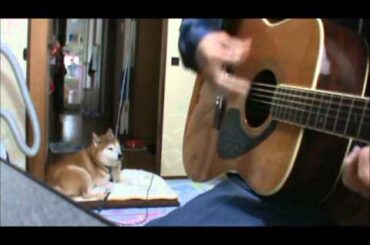 冬のオペラグラス（新田恵利）　弾き語り