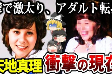【ゆっくり解説】DV夫と壮絶離婚、高齢者施設入所…トップアイドルとして大人気だった天地真理の衝撃の現在