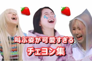 叫ぶ姿が赤ちゃん猛獣すぎるチェヨン 「TWICE/日本語字幕」