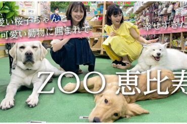 【コラボVlog】大久保桜子ちゃんとZOO 恵比寿に遊び行ってきました！