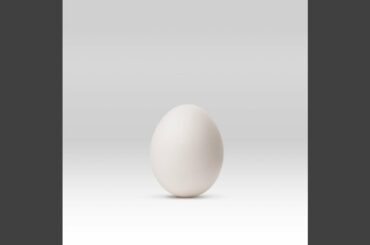 嘘つきかくれんぼっち