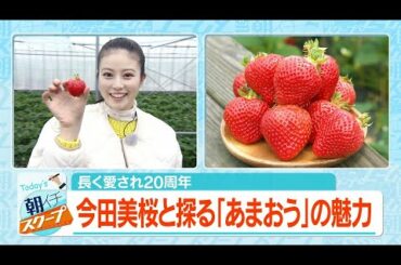 長く愛されて２０周年　今田美桜と探る「あまおう」の魅力【アサデス。】