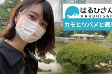 【はるひさんぽ】カモとツバメと徳川と