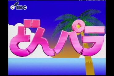 【なつかし番組】どんパラ