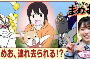 【ついに判明！】犬の惑星からの使者とは！？謎の組織たちの思惑が明らかに！声優は日向坂46丹生明里！【”みんなのまめお” 全話フル公開Part33】
