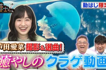【TV未公開】芦田愛菜 撮影＆選曲！ 癒やしのクラゲ動画～完全版～【博士ちゃん】