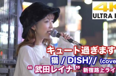 【4K】 キュート過ぎます！  猫 / DISH//（cover） " 武田レイナ " 2020.11.8 新宿路上ライブ  4K動画