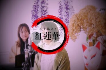 【cover#13】紅蓮華/LiSA 五十嵐あい