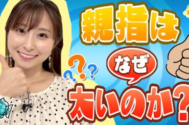 『親指はなぜ太いの？』（す・またん！5月25日放送分）