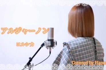 アルジャーノン／ヨルシカ【Covered by Hanon】